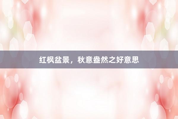 红枫盆景，秋意盎然之好意思
